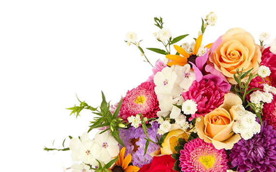 Banner Flower
